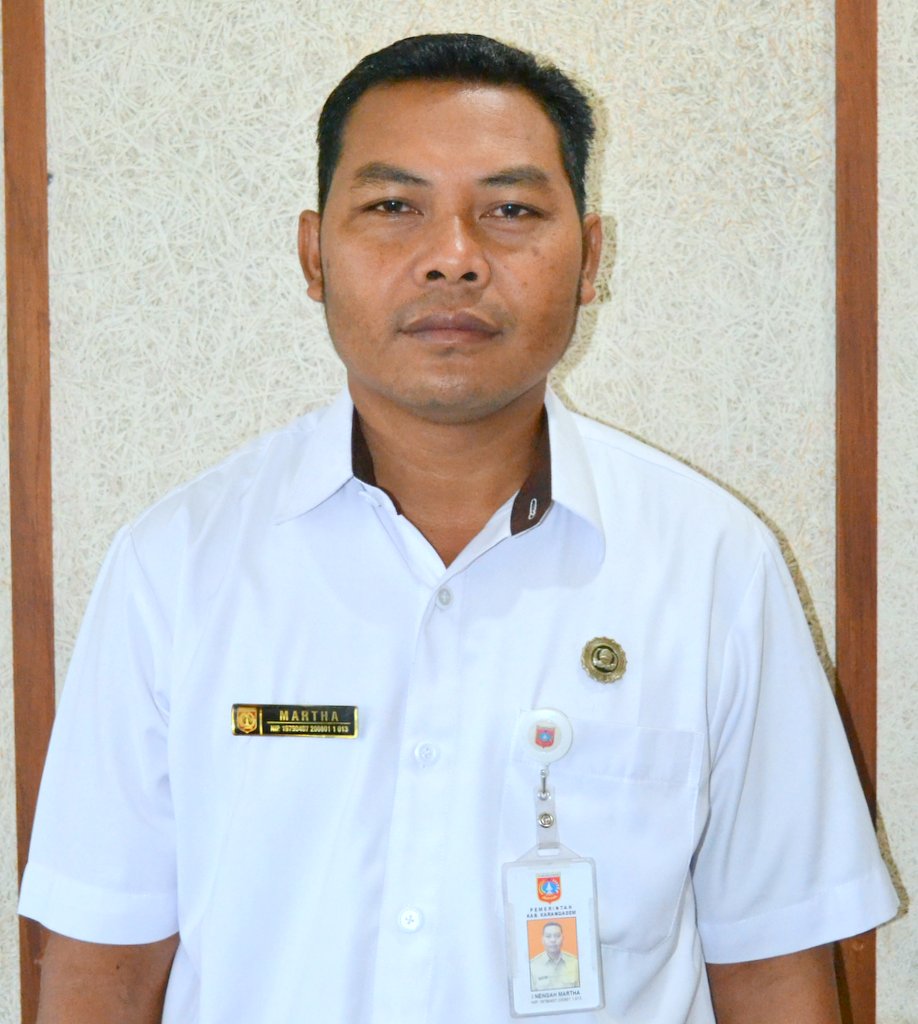 I NENGAH MARTHA, S.Sos